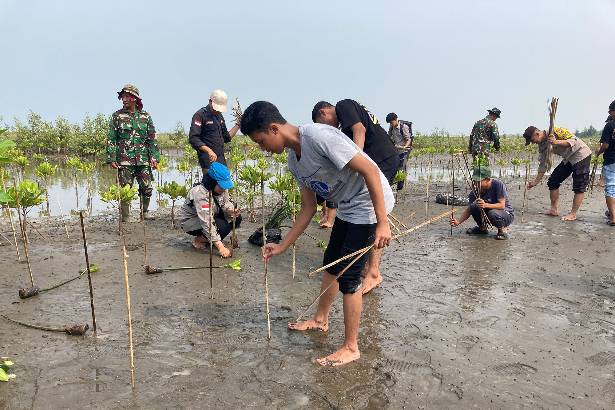 Arkadia-Tanam-Pohon-2024_04